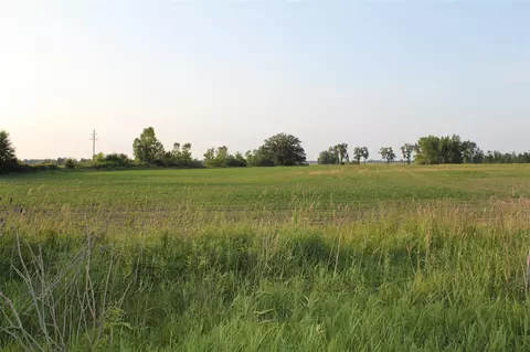 Vl Tamarack, Hudson, MI 49247