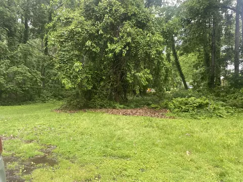 Vacant Southpointe, Grosse Ile, MI 48138