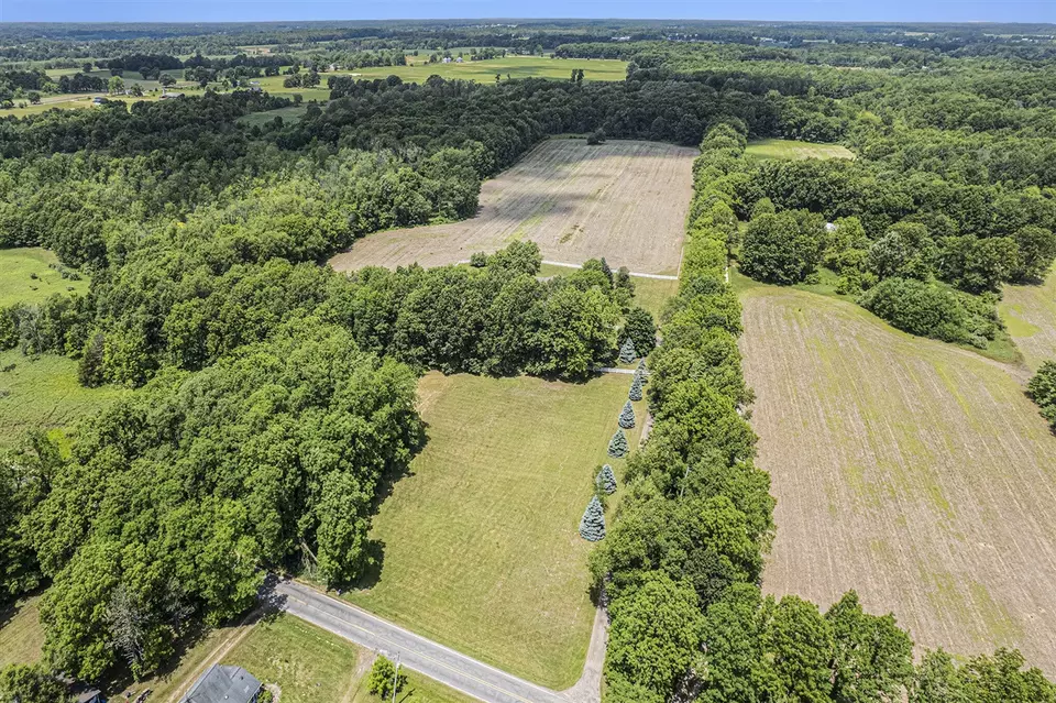 View/Area - 6990 Kennedy, Munith, MI 49259 photo 2 of 3