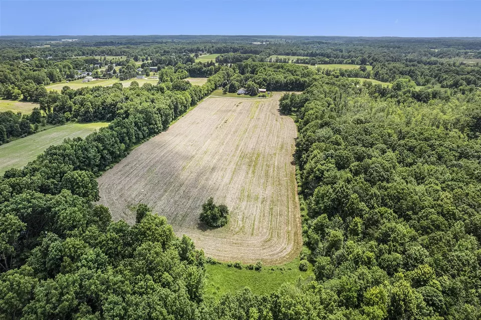 View/Area - 6990 Kennedy, Munith, MI 49259 photo 3 of 3