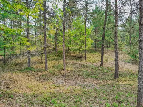 V/l N Widewaters, Paradise, MI 49768 photo 12