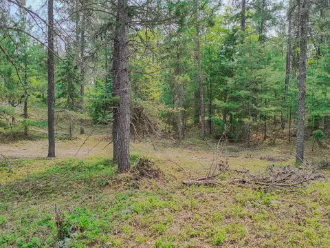 V/l N Widewaters, Paradise, MI 49768 photo 13