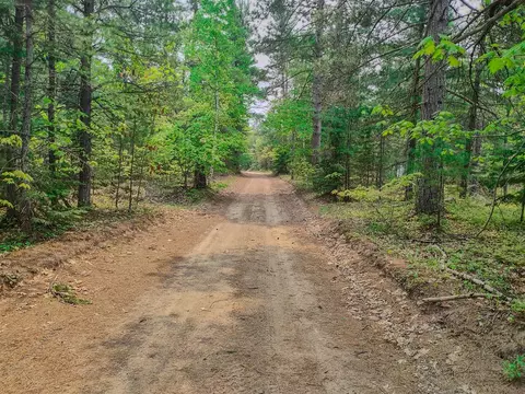 V/l N Widewaters, Paradise, MI 49768 photo 6