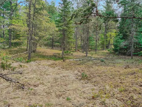 V/l N Widewaters, Paradise, MI 49768 photo 7