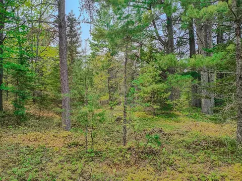 V/l N Widewaters, Paradise, MI 49768 photo 8