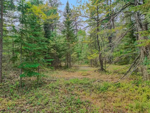 V/l N Widewaters, Paradise, MI 49768 photo 9