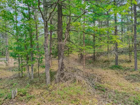 V/l N Widewaters, Paradise, MI 49768 photo 11