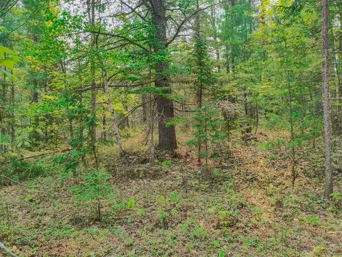 V/l N Widewaters, Paradise, MI 49768 photo 10