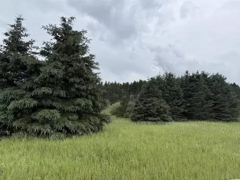 V/l Eight Mile, Kaleva, MI 49645