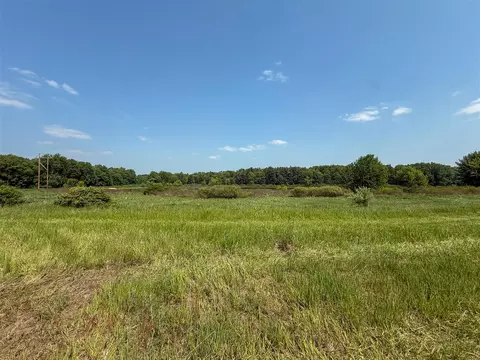 Parcel A N Stephens, Custer, MI 49405 photo 13