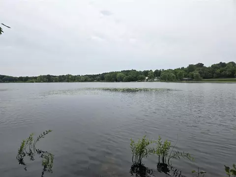 0 White Lk, Pleasant Lake, MI 49272