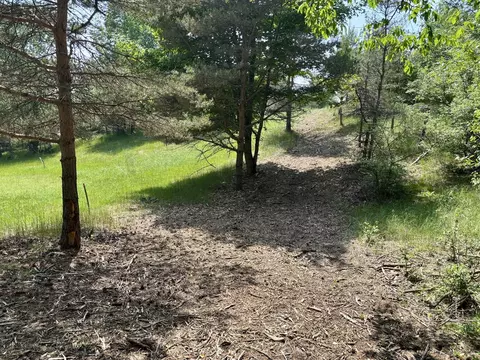 002 Maxey, Arcadia, MI 49613 photo 12