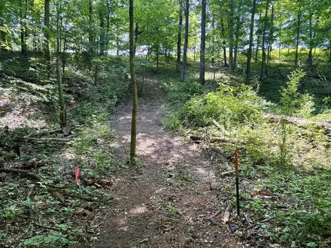 002 Maxey, Arcadia, MI 49613 photo 16
