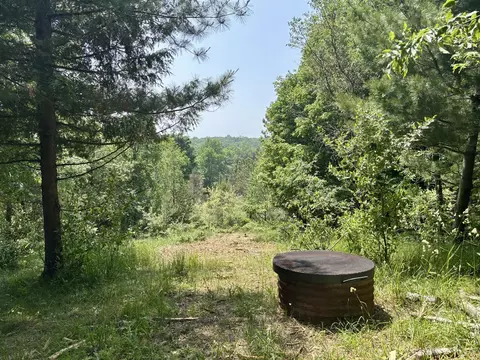 002 Maxey, Arcadia, MI 49613 photo 2