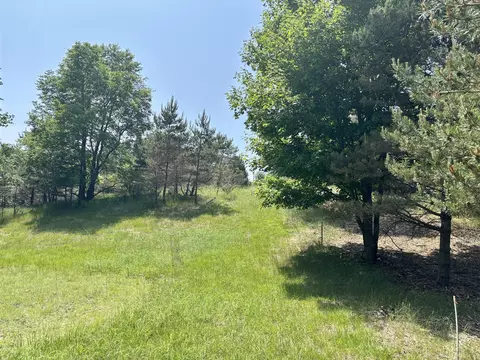 002 Maxey, Arcadia, MI 49613 photo 10
