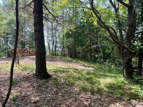 002 Maxey, Arcadia, MI 49613 photo 8