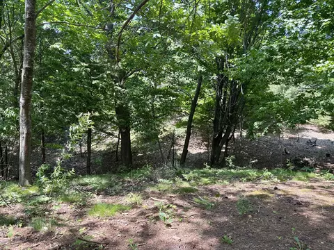 002 Maxey, Arcadia, MI 49613 photo 9