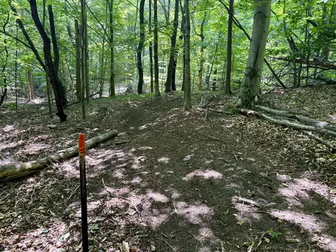 002 Maxey, Arcadia, MI 49613 photo 15