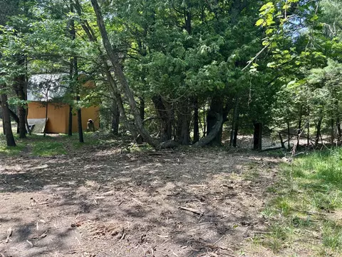 002 Maxey, Arcadia, MI 49613 photo 4
