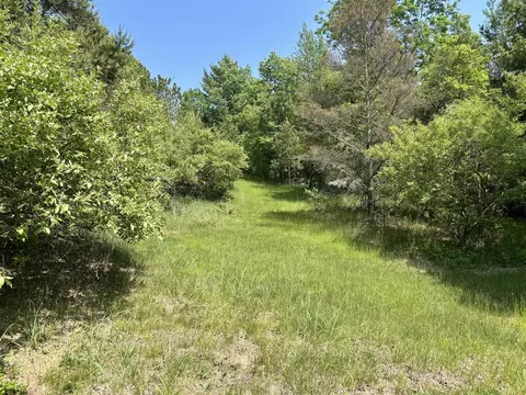 002 Maxey, Arcadia, MI 49613 photo 11