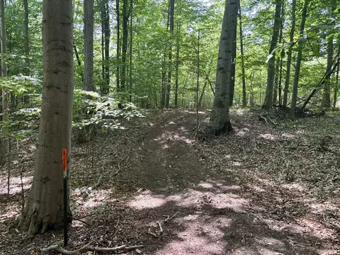 002 Maxey, Arcadia, MI 49613 photo 14