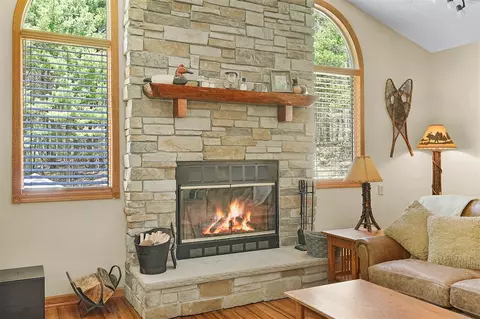 Living - 4792 Forest Vale, Pierson, MI 49339 photo 3 of 6