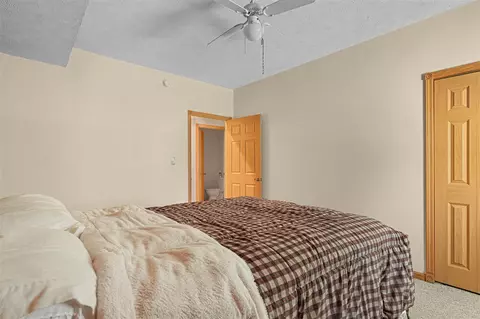 Bedroom - 4792 Forest Vale, Pierson, MI 49339 photo 6 of 7