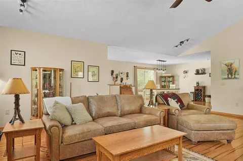 Living - 4792 Forest Vale, Pierson, MI 49339 photo 4 of 6