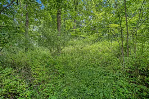 J, Marshall, MI 49068 photo 5
