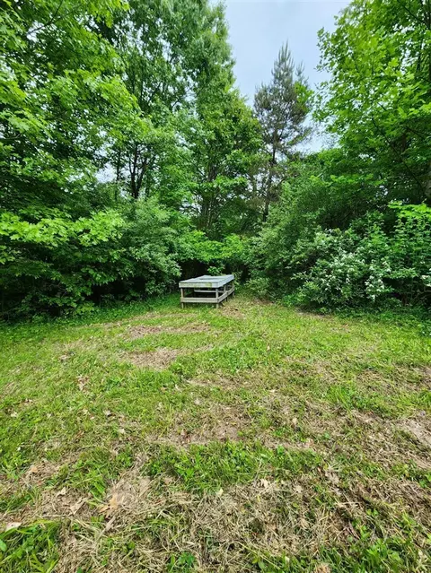 Pioneer, Marcellus, MI 49067 photo 7