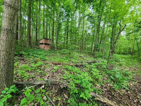 Pioneer, Marcellus, MI 49067 photo 11