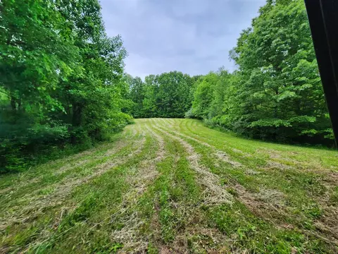 Pioneer, Marcellus, MI 49067 photo 6