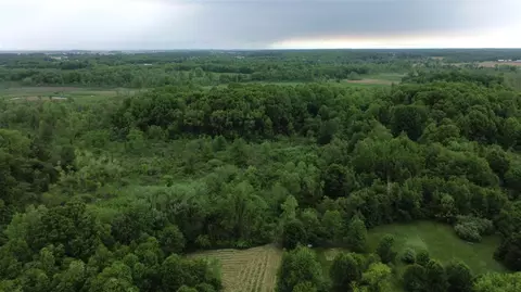 Pioneer, Marcellus, MI 49067