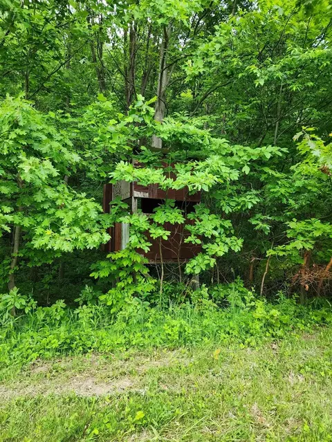 Pioneer, Marcellus, MI 49067 photo 8