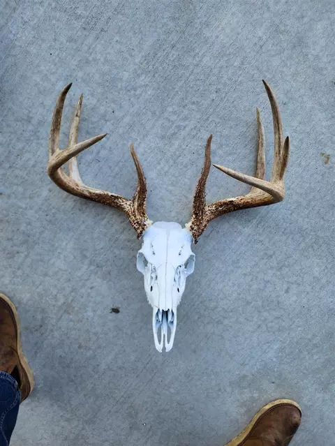 Pioneer, Marcellus, MI 49067 photo 2