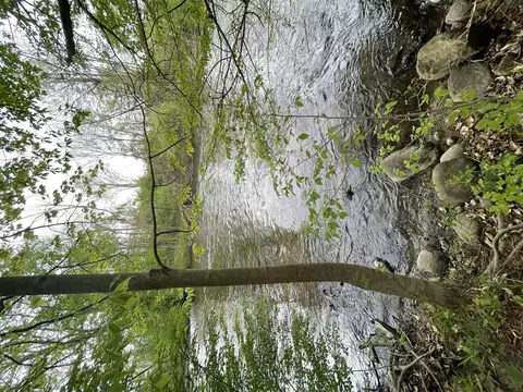 s branch, Hesperia, MI 49421