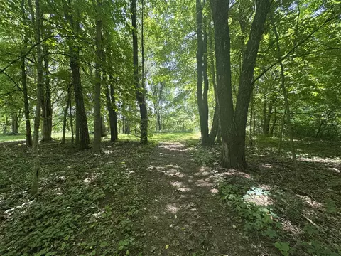 V/l E South, Marcellus, MI 49067 photo 5