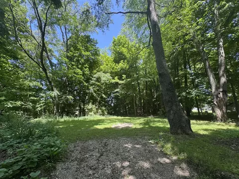 V/l E South, Marcellus, MI 49067 photo 3