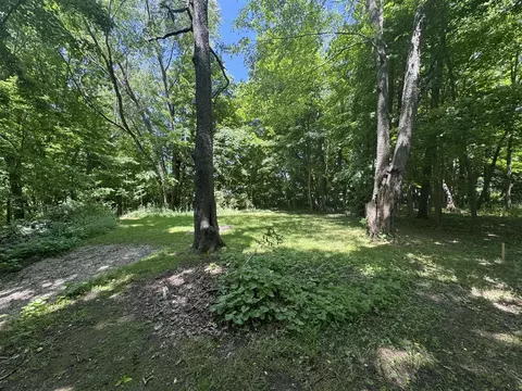 V/l E South, Marcellus, MI 49067 photo 4