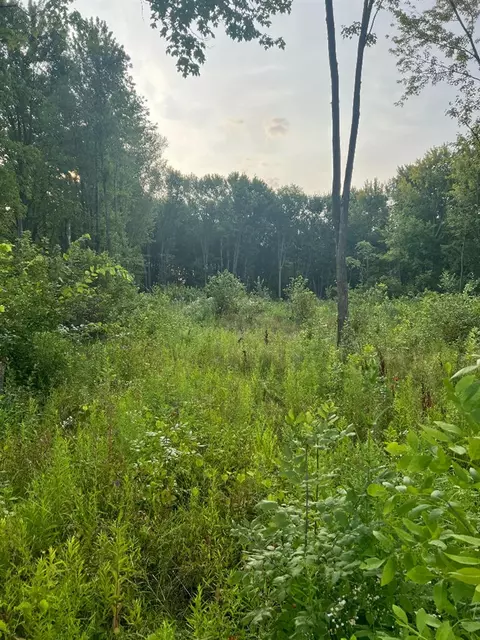 51760 S Foster, Chesterfield, MI 48047