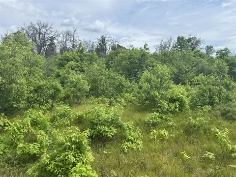 V/l E 38th, Idlewild, MI 49642 photo 3