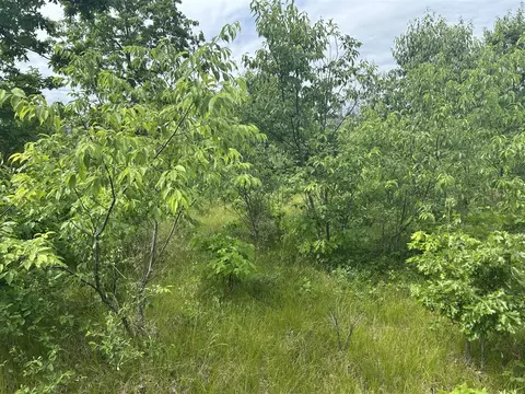 V/l E 38th, Idlewild, MI 49642 photo 5