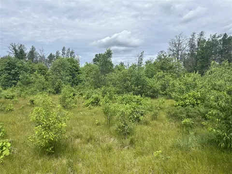 V/l E 38th, Idlewild, MI 49642 photo 6