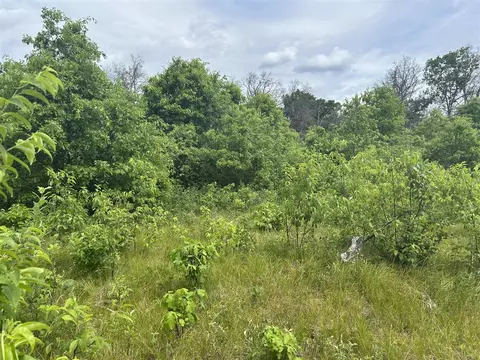 V/l E 38th, Idlewild, MI 49642 photo 2