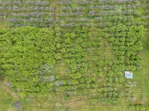 7 W Acres W Tyler, Mears, MI 49436 photo 6
