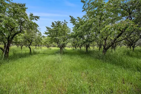 7 W Acres W Tyler, Mears, MI 49436 photo 9