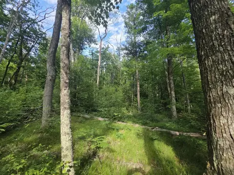 Michland Path, White Cloud, MI 49349