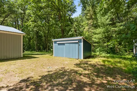8233 Johnson, Belding, MI 48809 photo 43