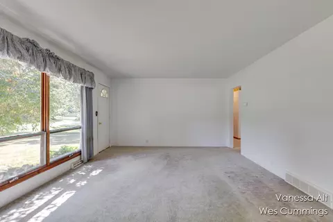 8233 Johnson, Belding, MI 48809 photo 4
