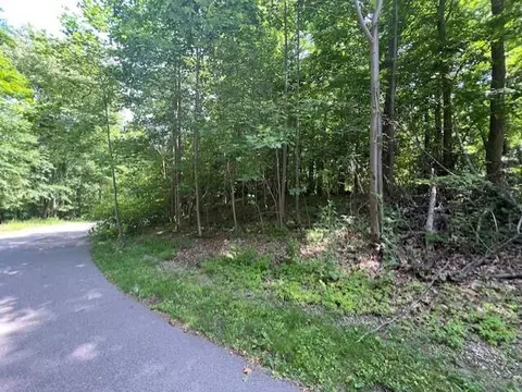 16975 River Blf #1, New Buffalo, MI 49117